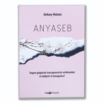 Anyaseb