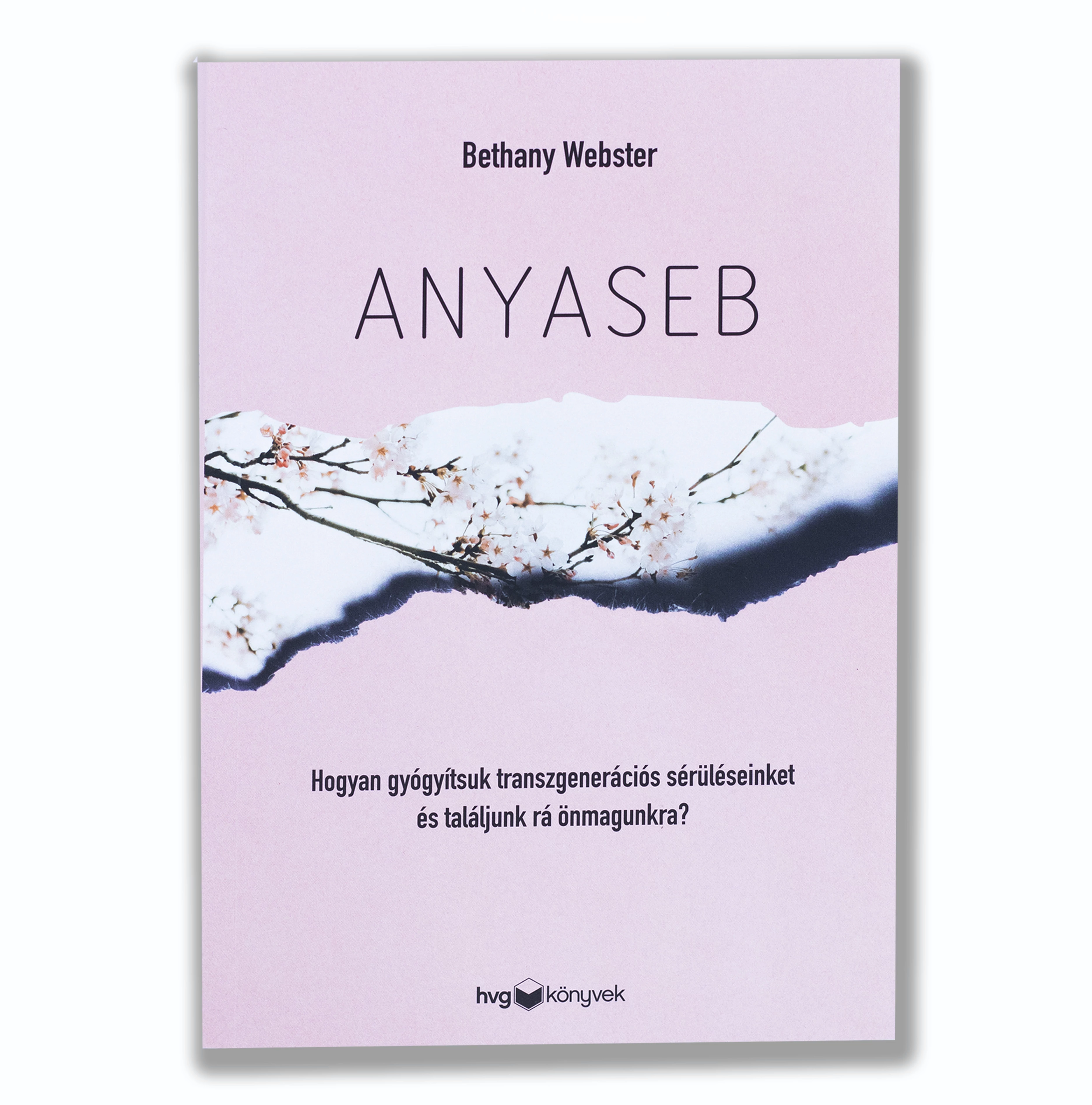 Anyaseb